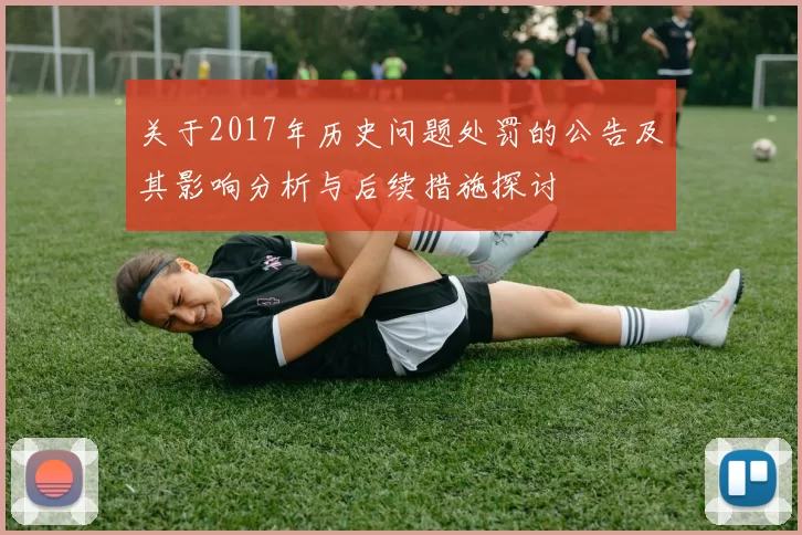 关于2017年历史问题处罚的公告及其影响分析与后续措施探讨