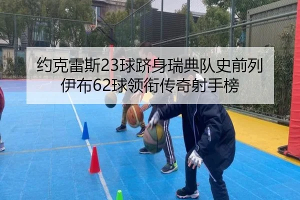 约克雷斯23球跻身瑞典队史前列 伊布62球领衔传奇射手榜 - hth